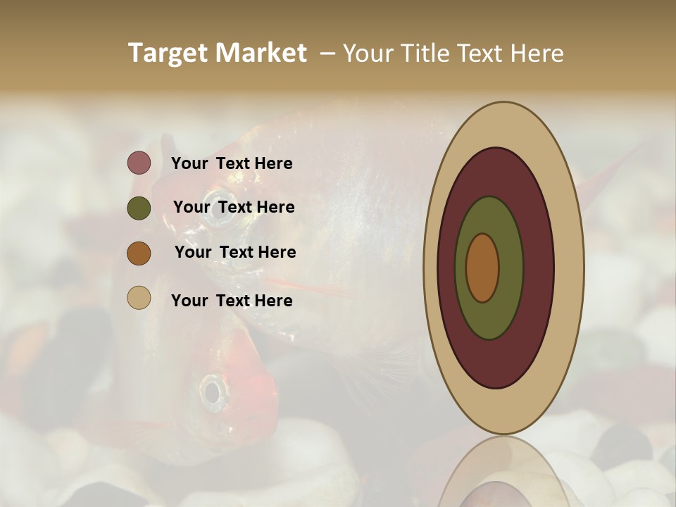 A Couple Of Gold Fish Sitting On Top Of A Pile Of Rocks PowerPoint Template