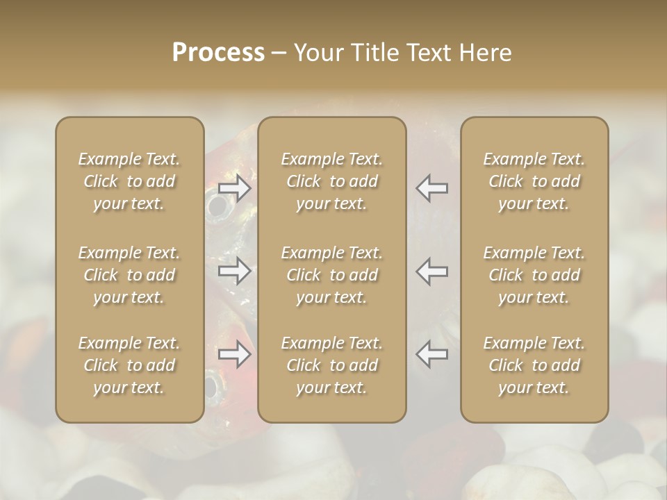 A Couple Of Gold Fish Sitting On Top Of A Pile Of Rocks PowerPoint Template