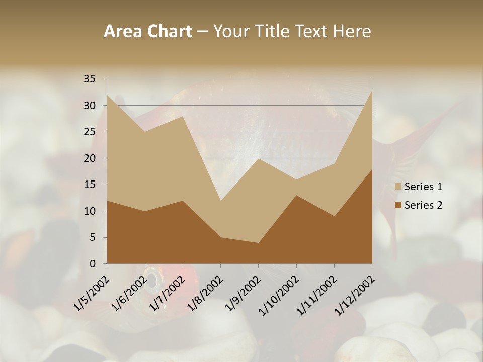 A Couple Of Gold Fish Sitting On Top Of A Pile Of Rocks PowerPoint Template
