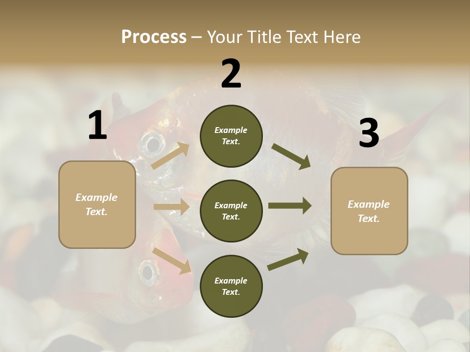 A Couple Of Gold Fish Sitting On Top Of A Pile Of Rocks PowerPoint Template