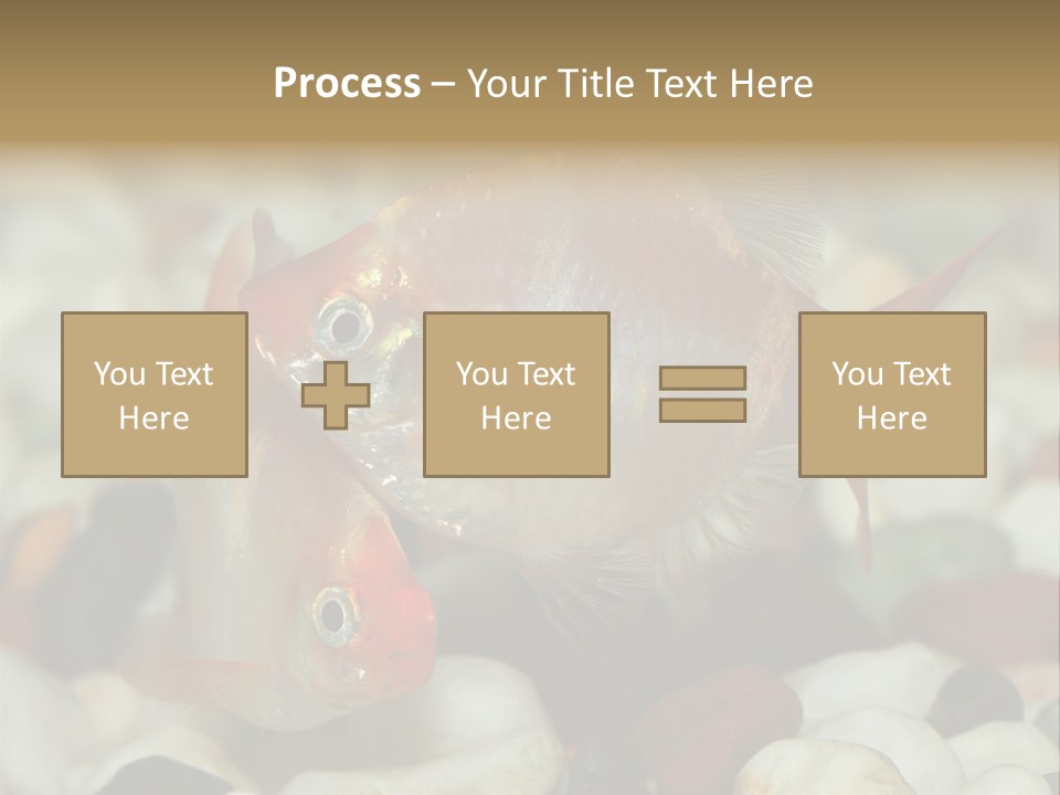 A Couple Of Gold Fish Sitting On Top Of A Pile Of Rocks PowerPoint Template