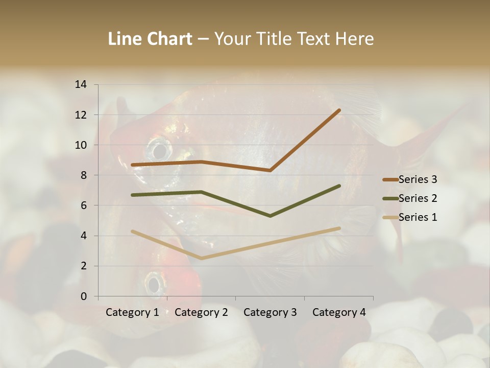 A Couple Of Gold Fish Sitting On Top Of A Pile Of Rocks PowerPoint Template