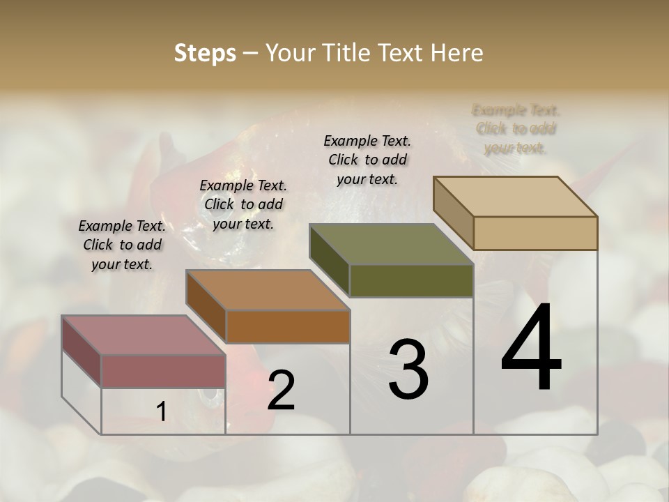 A Couple Of Gold Fish Sitting On Top Of A Pile Of Rocks PowerPoint Template