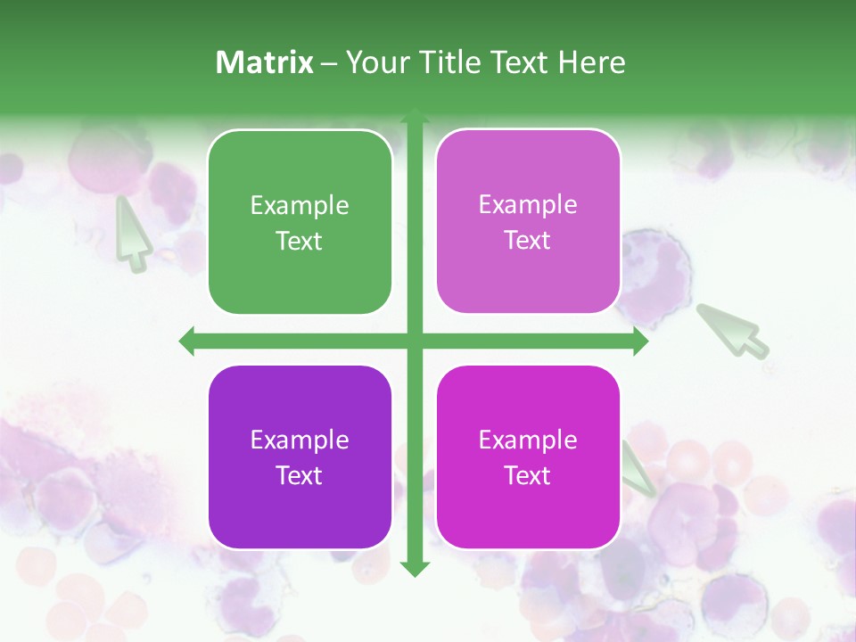 Fluid Antinuclear Sle PowerPoint Template