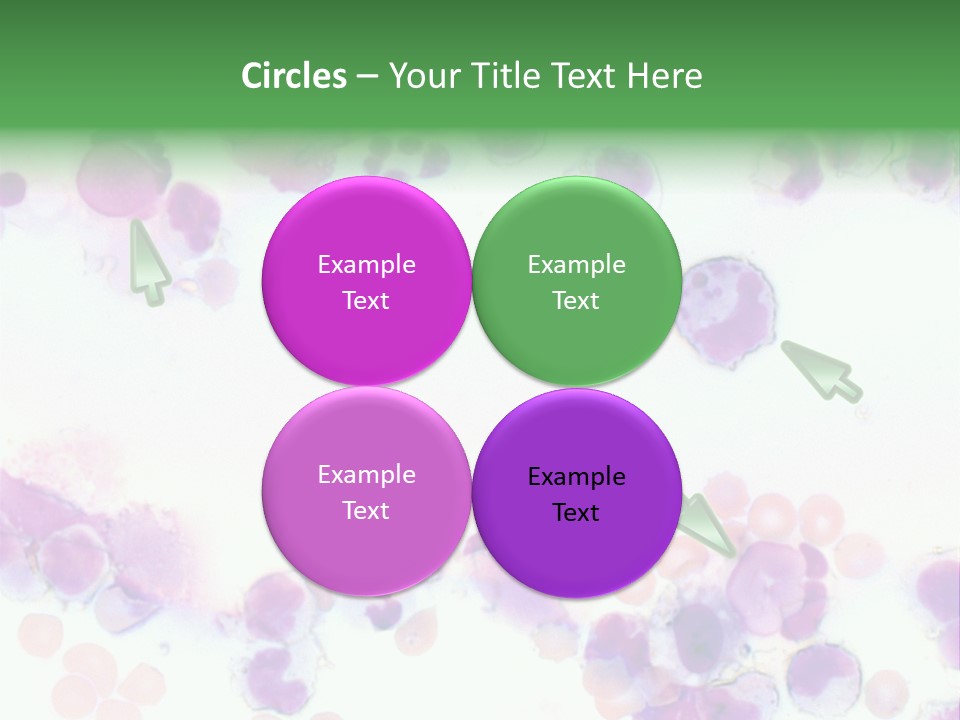 Fluid Antinuclear Sle PowerPoint Template