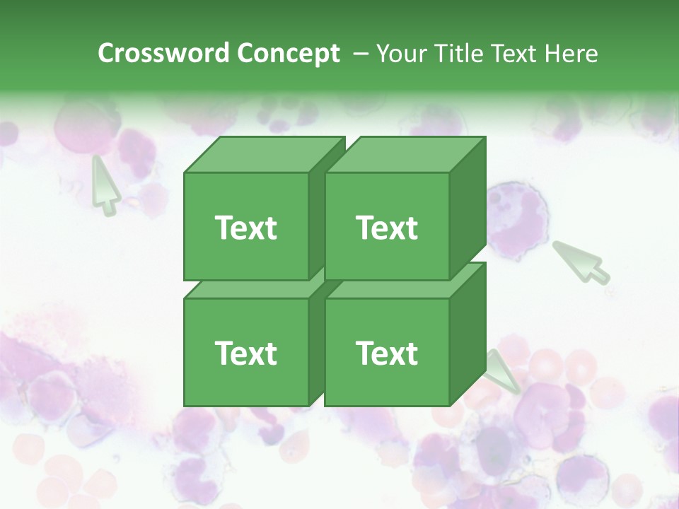 Fluid Antinuclear Sle PowerPoint Template