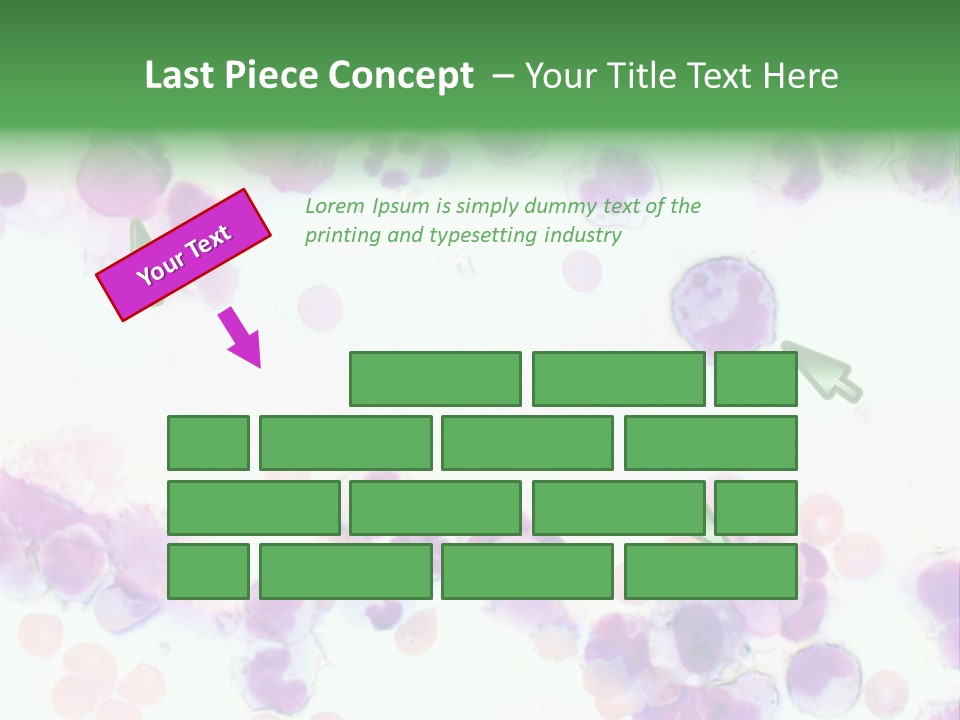 Fluid Antinuclear Sle PowerPoint Template