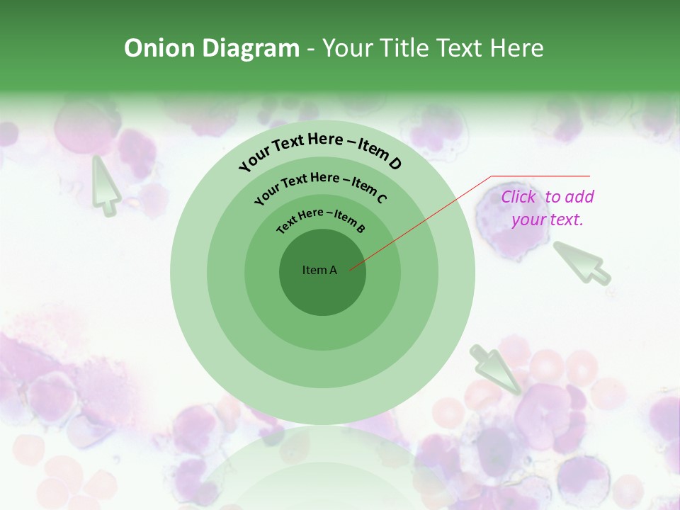 Fluid Antinuclear Sle PowerPoint Template