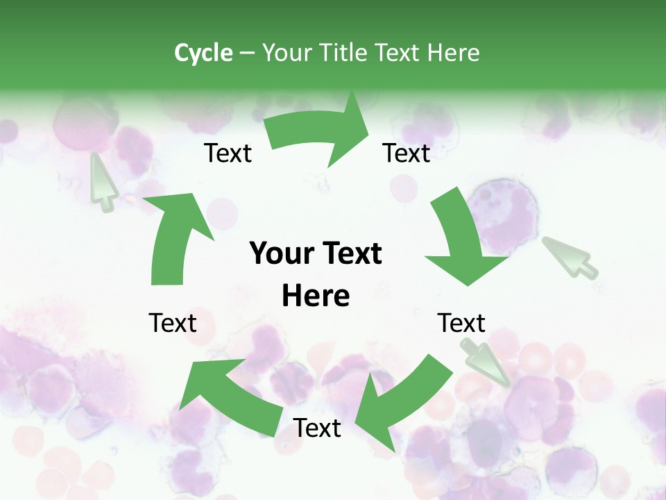 Fluid Antinuclear Sle PowerPoint Template