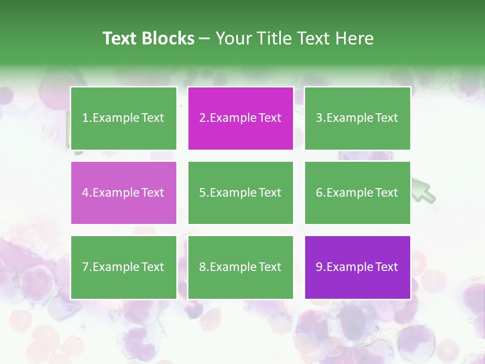 Fluid Antinuclear Sle PowerPoint Template
