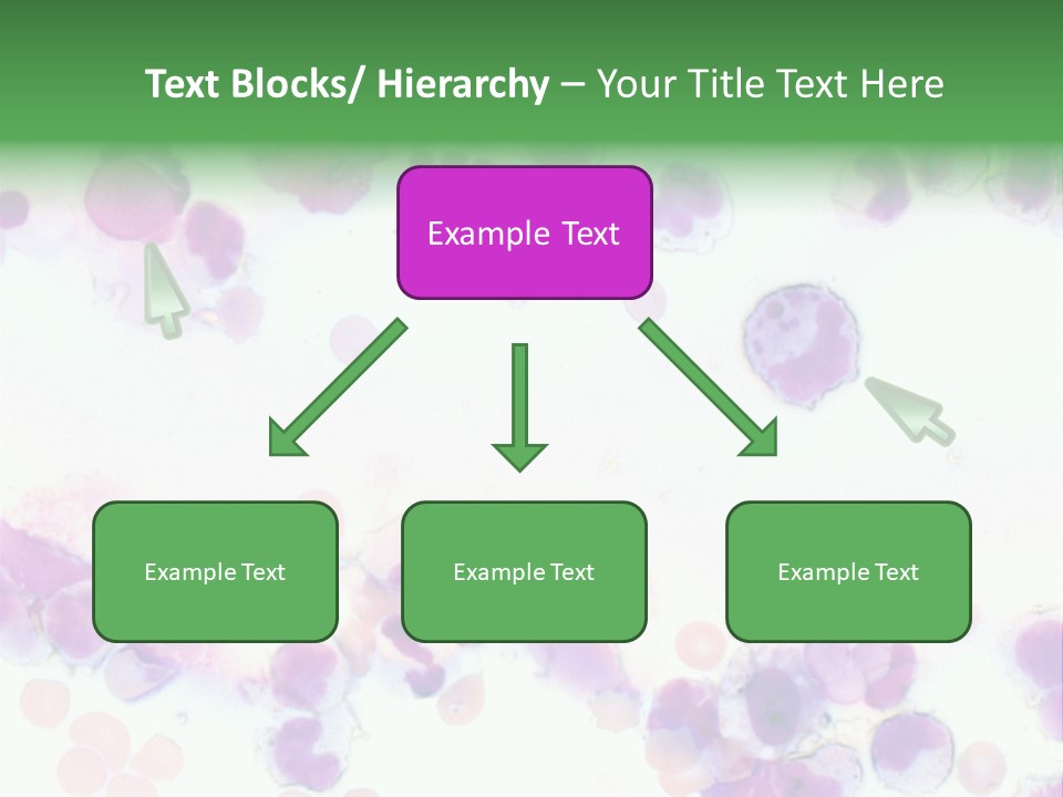 Fluid Antinuclear Sle PowerPoint Template