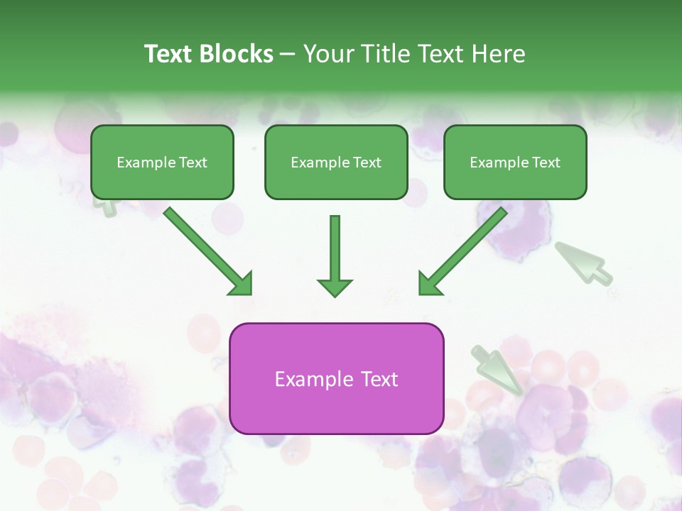 Fluid Antinuclear Sle PowerPoint Template