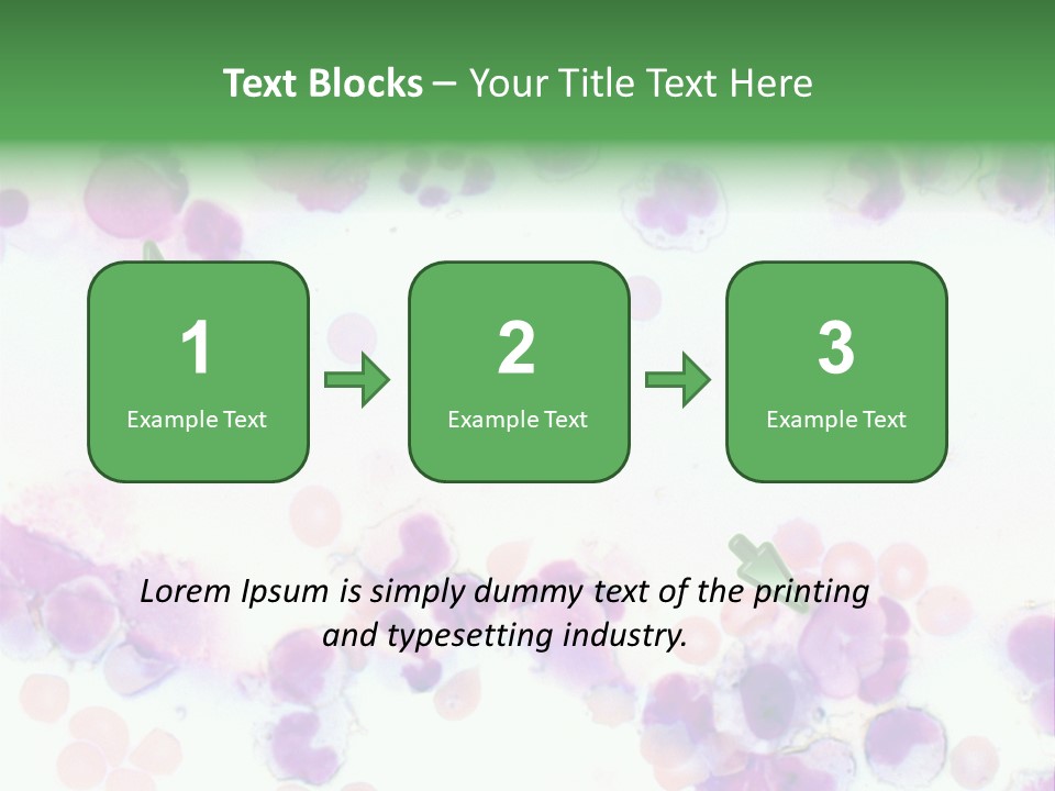 Fluid Antinuclear Sle PowerPoint Template