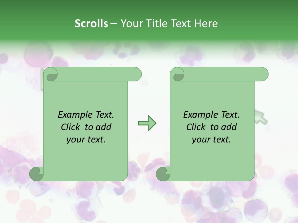 Fluid Antinuclear Sle PowerPoint Template