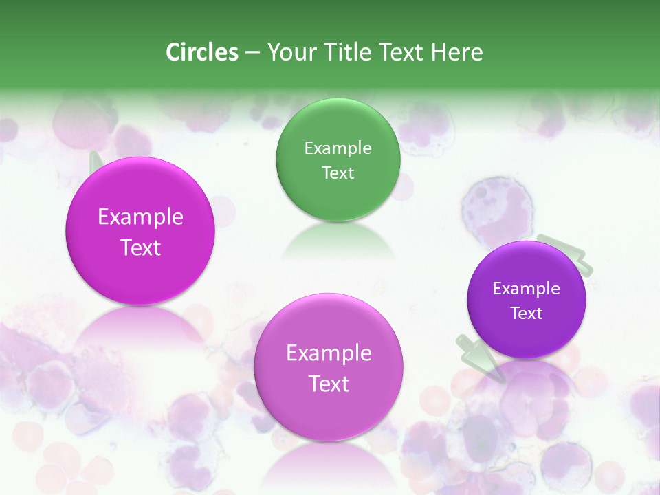 Fluid Antinuclear Sle PowerPoint Template