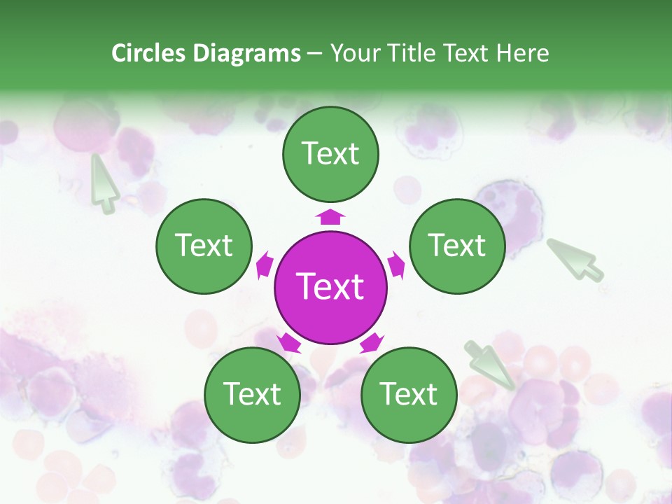 Fluid Antinuclear Sle PowerPoint Template