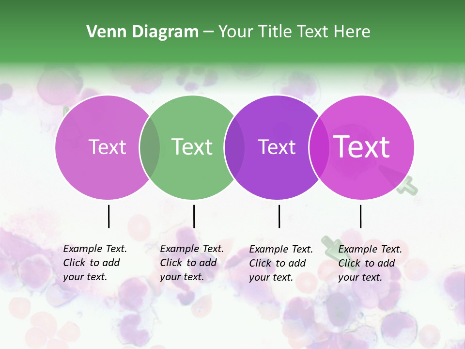 Fluid Antinuclear Sle PowerPoint Template