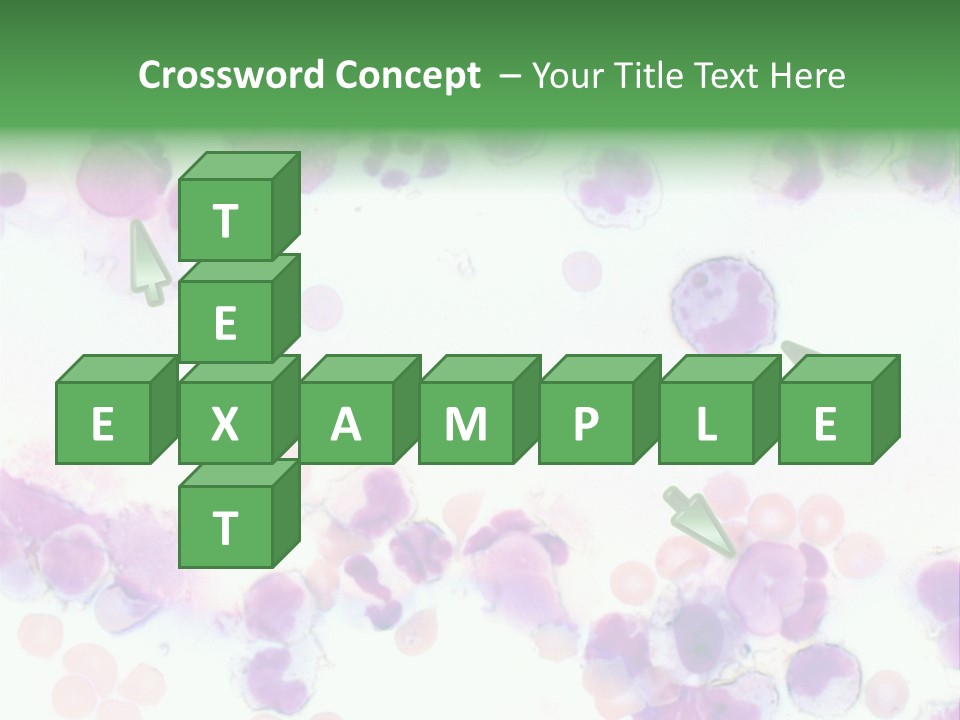 Fluid Antinuclear Sle PowerPoint Template