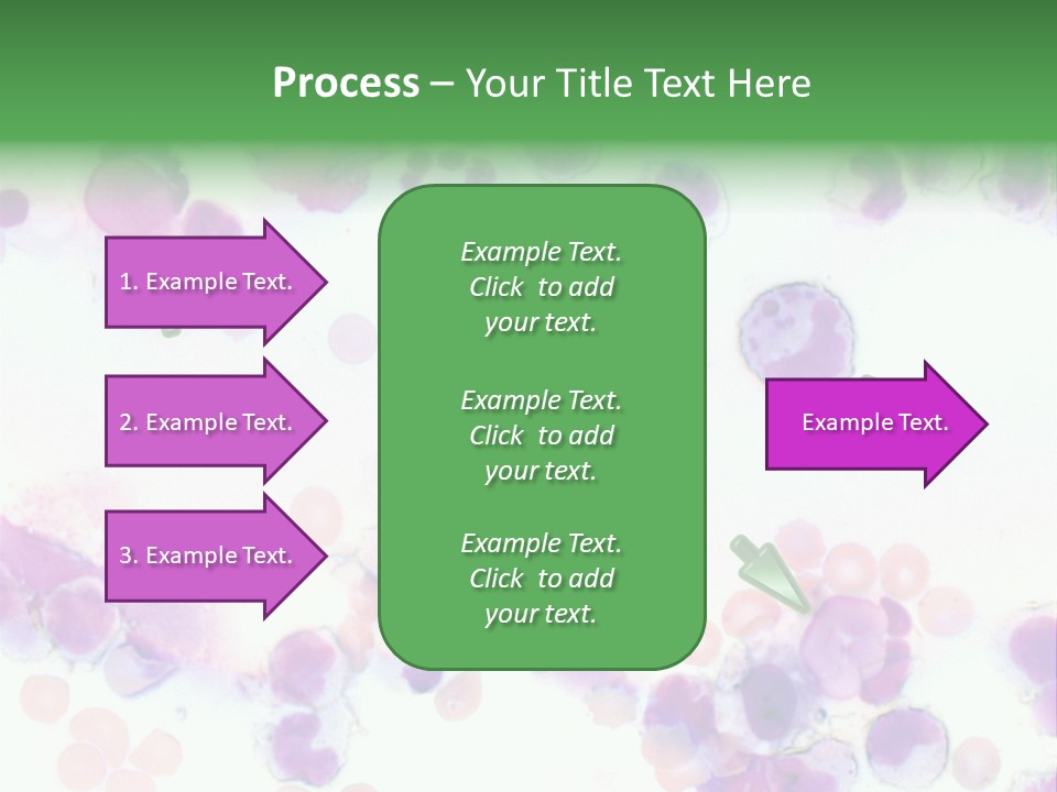 Fluid Antinuclear Sle PowerPoint Template