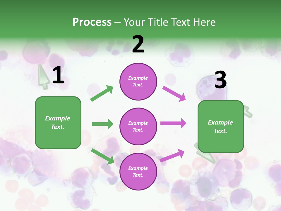Fluid Antinuclear Sle PowerPoint Template