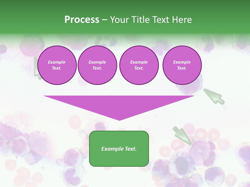 Fluid Antinuclear Sle PowerPoint Template