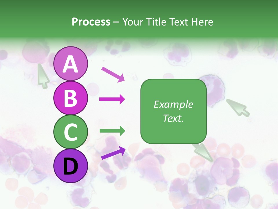 Fluid Antinuclear Sle PowerPoint Template