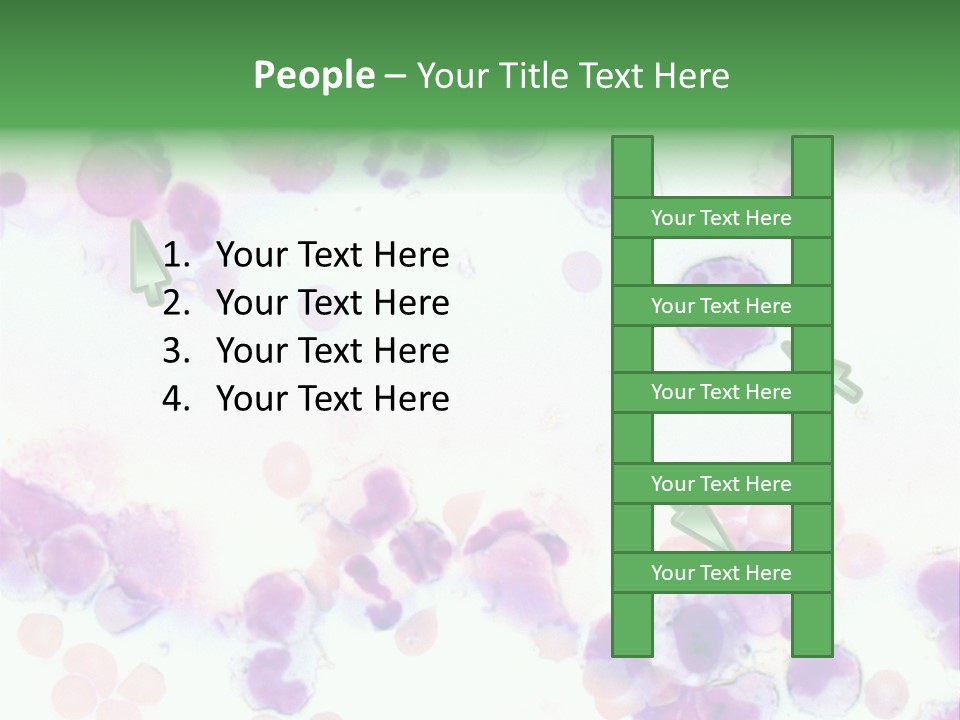 Fluid Antinuclear Sle PowerPoint Template