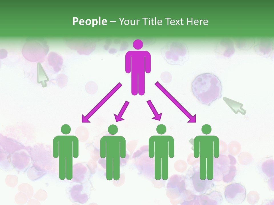 Fluid Antinuclear Sle PowerPoint Template