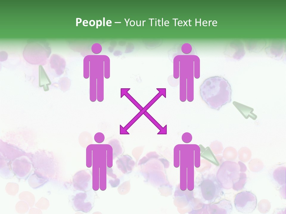 Fluid Antinuclear Sle PowerPoint Template