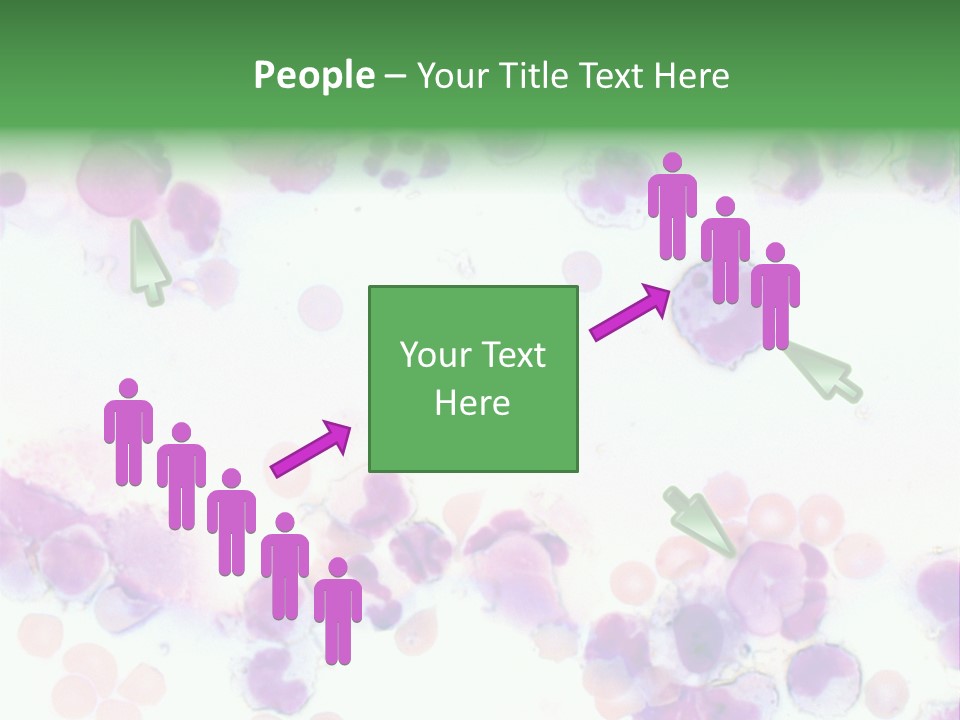 Fluid Antinuclear Sle PowerPoint Template
