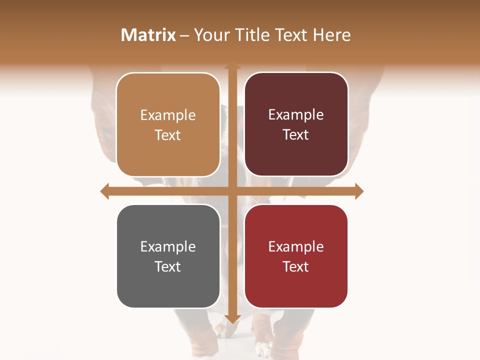 Vet Canine Mammal PowerPoint Template