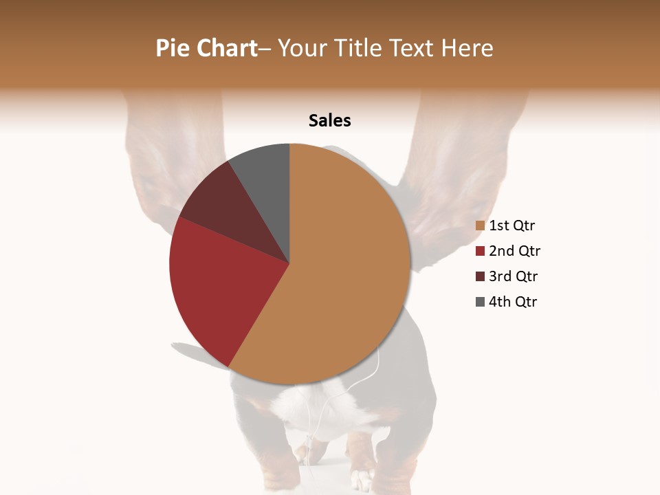 Vet Canine Mammal PowerPoint Template
