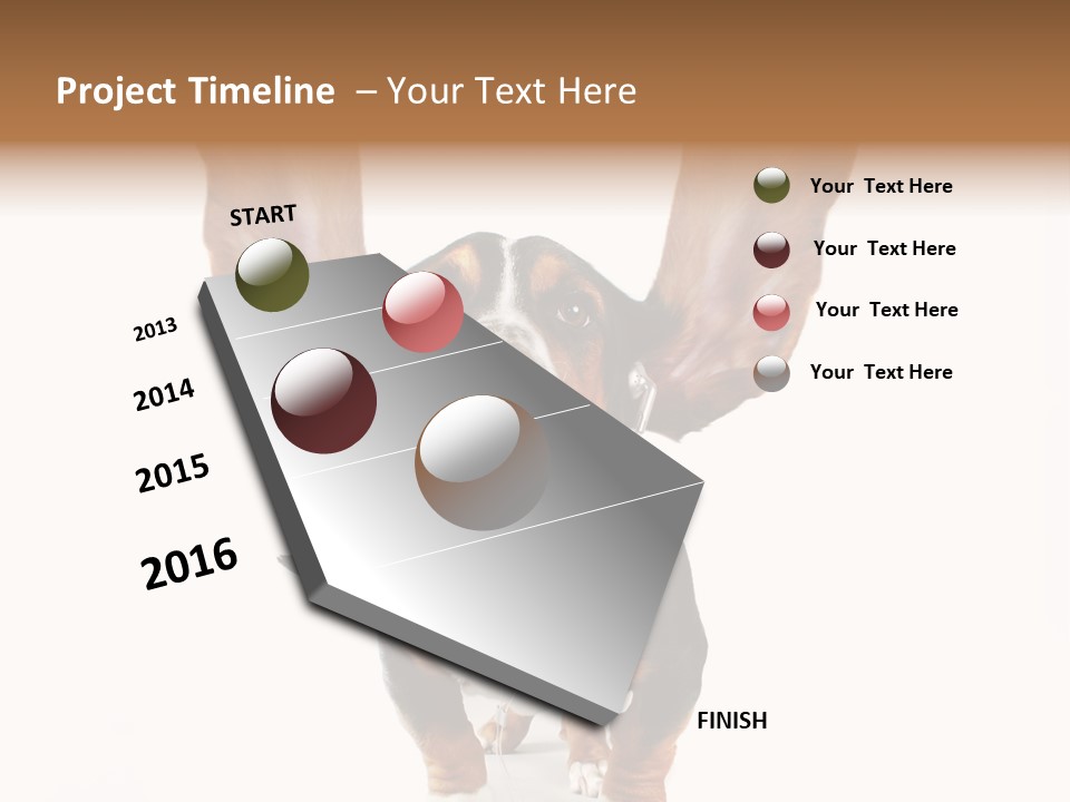 Vet Canine Mammal PowerPoint Template