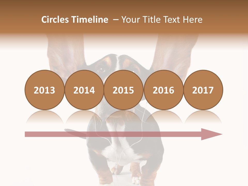 Vet Canine Mammal PowerPoint Template