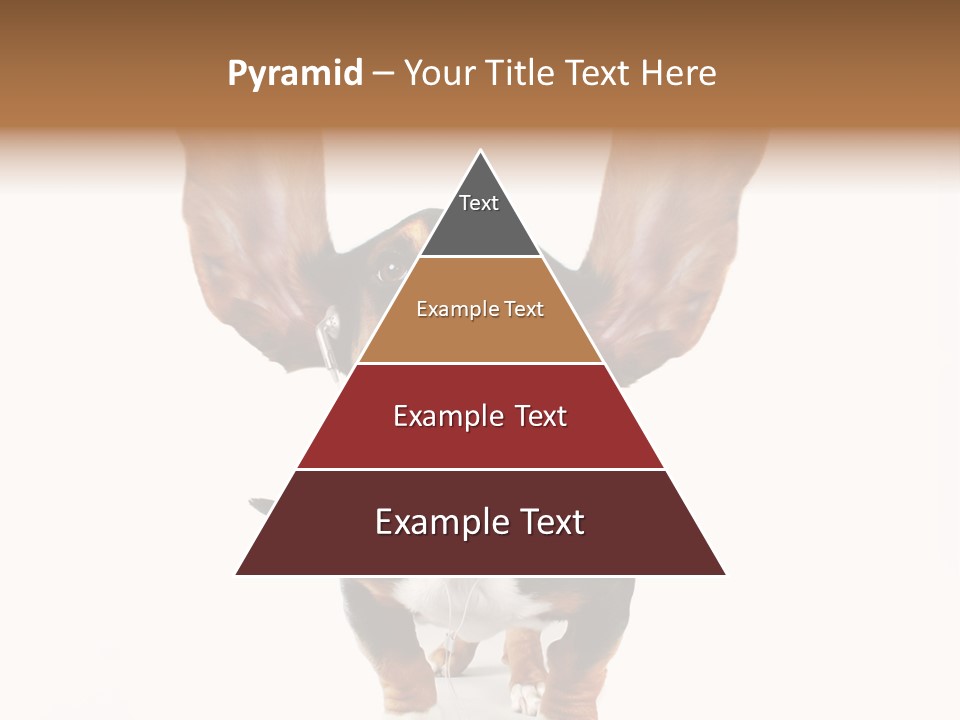 Vet Canine Mammal PowerPoint Template