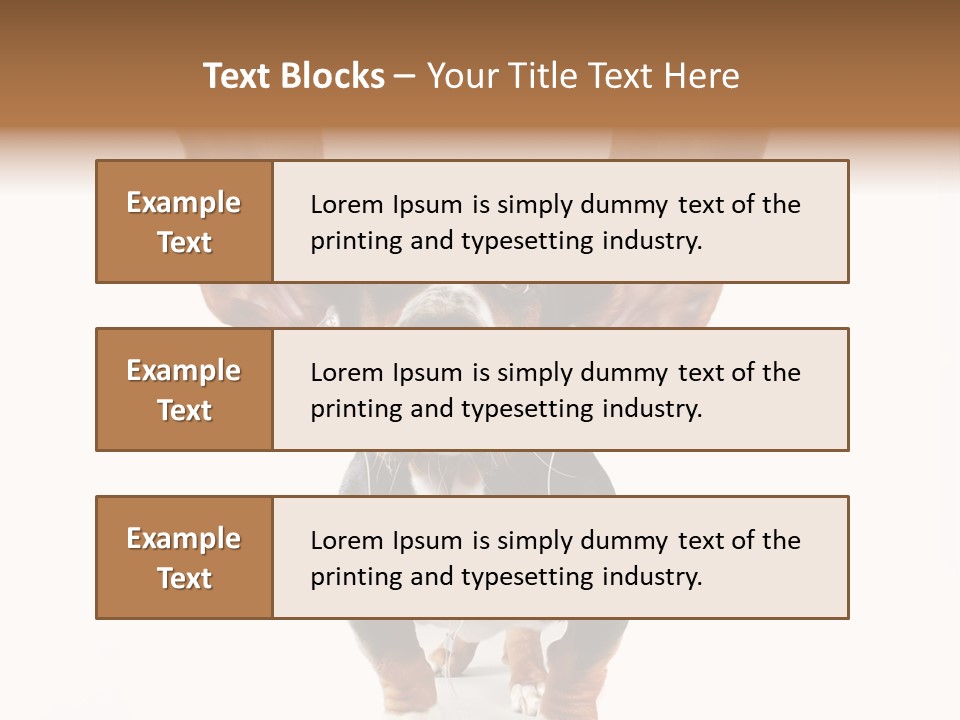 Vet Canine Mammal PowerPoint Template