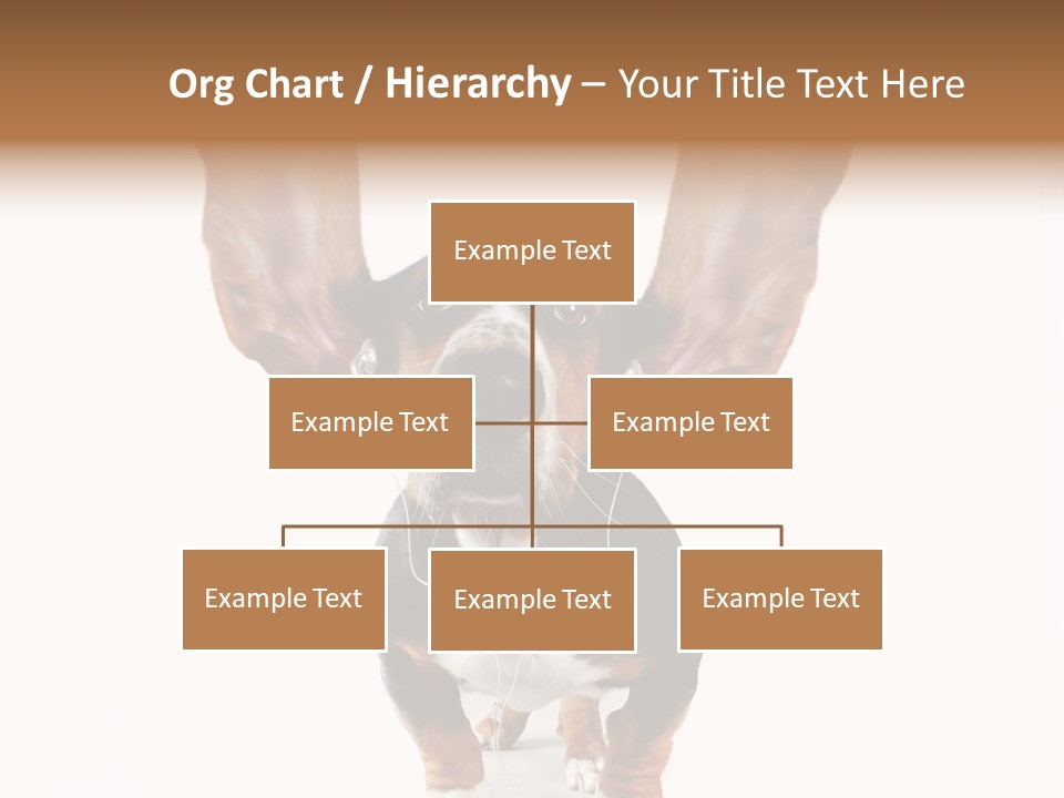 Vet Canine Mammal PowerPoint Template