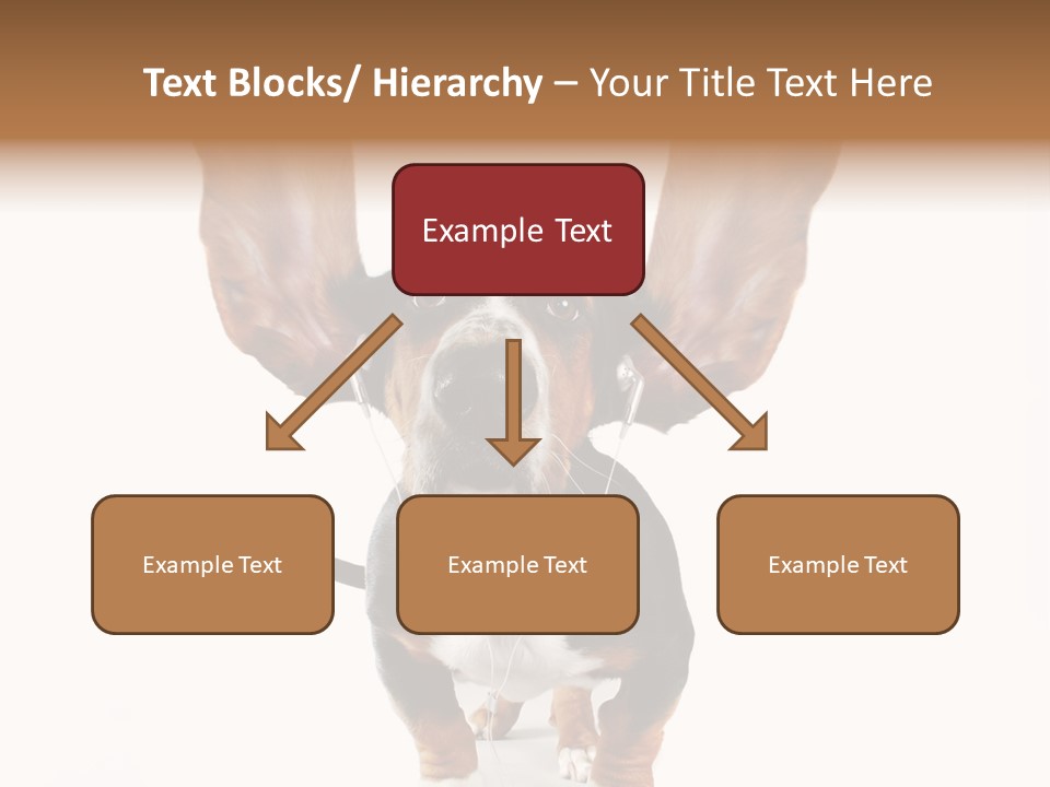 Vet Canine Mammal PowerPoint Template