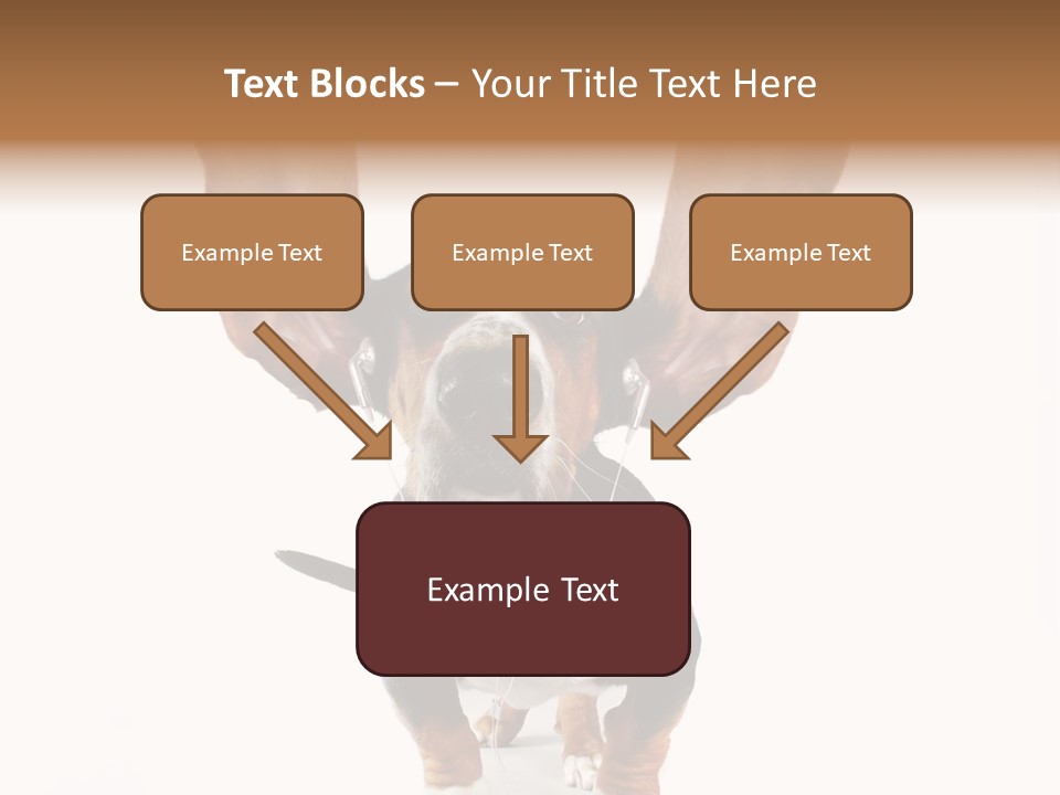 Vet Canine Mammal PowerPoint Template