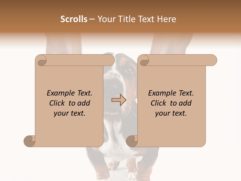 Vet Canine Mammal PowerPoint Template
