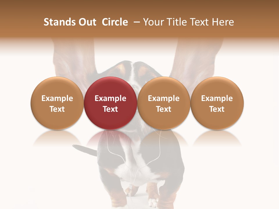 Vet Canine Mammal PowerPoint Template