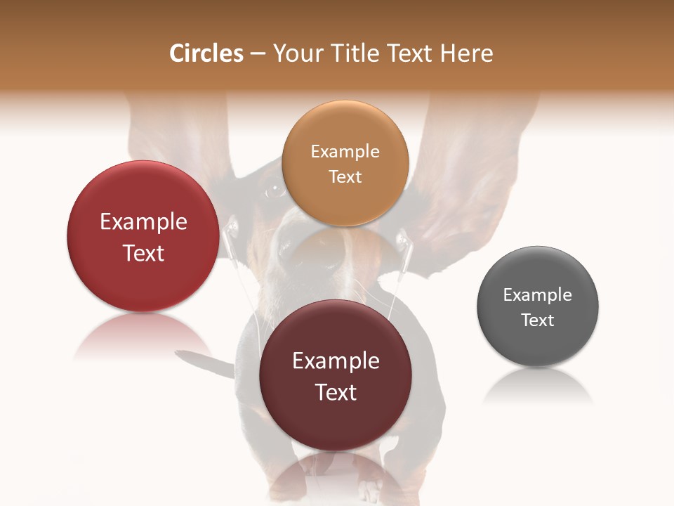 Vet Canine Mammal PowerPoint Template