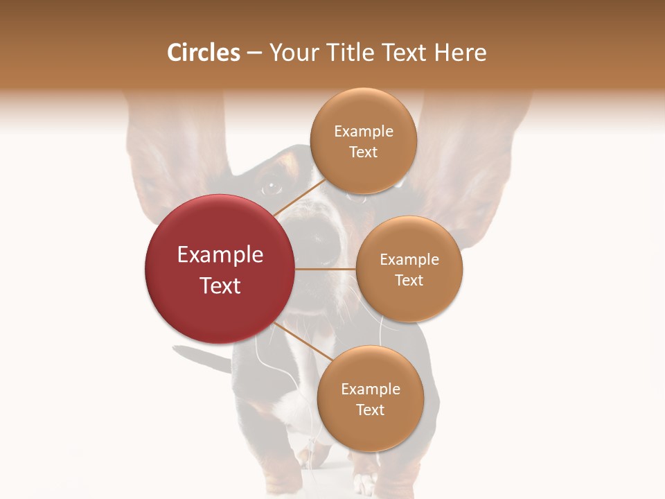 Vet Canine Mammal PowerPoint Template