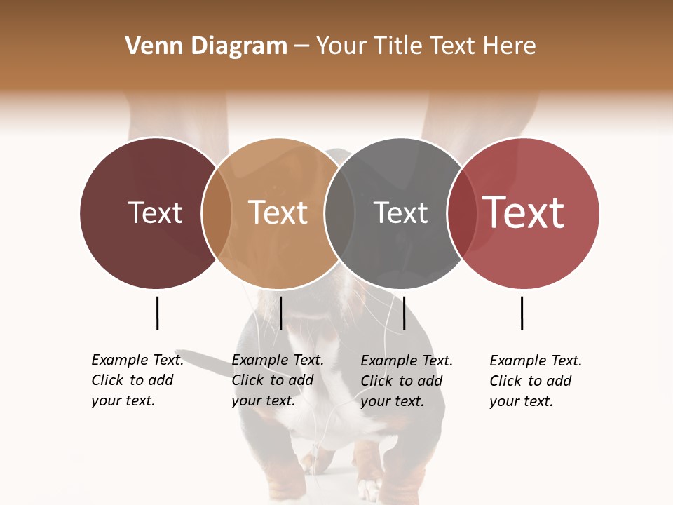 Vet Canine Mammal PowerPoint Template
