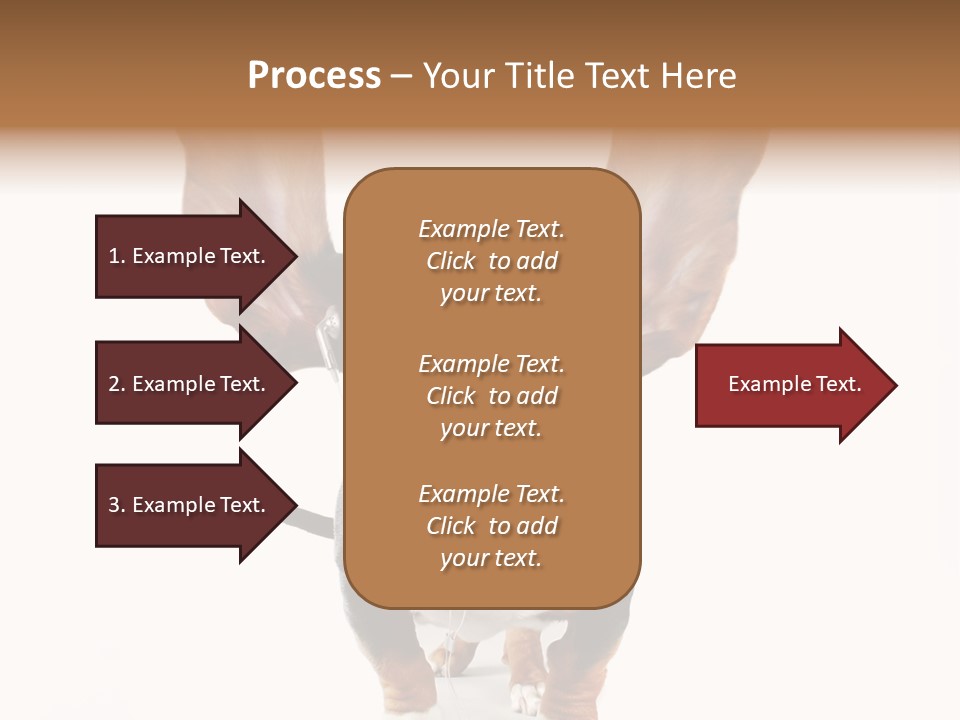 Vet Canine Mammal PowerPoint Template