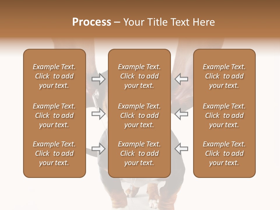 Vet Canine Mammal PowerPoint Template