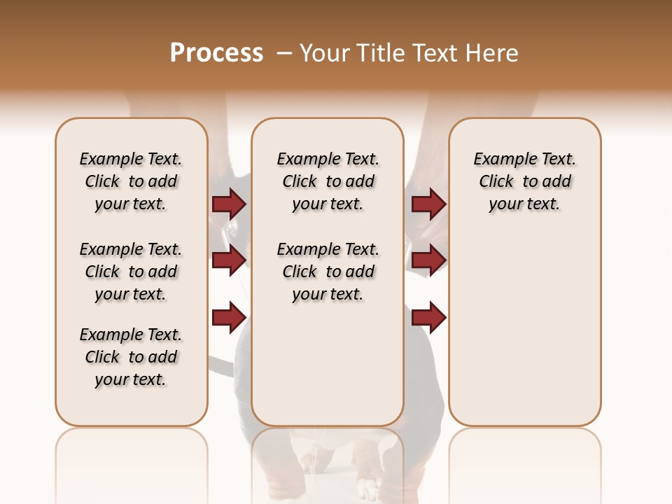 Vet Canine Mammal PowerPoint Template