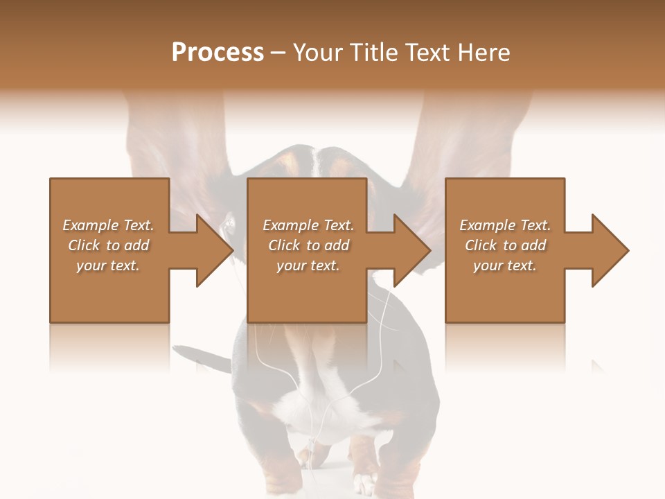Vet Canine Mammal PowerPoint Template