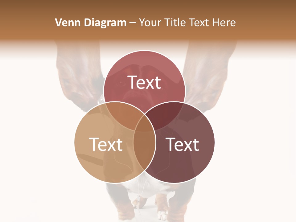 Vet Canine Mammal PowerPoint Template