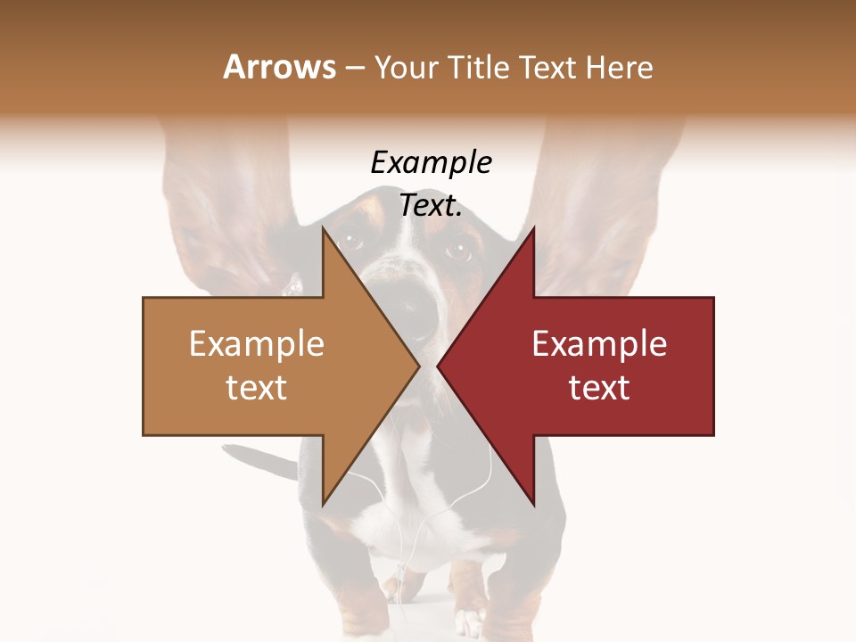 Vet Canine Mammal PowerPoint Template